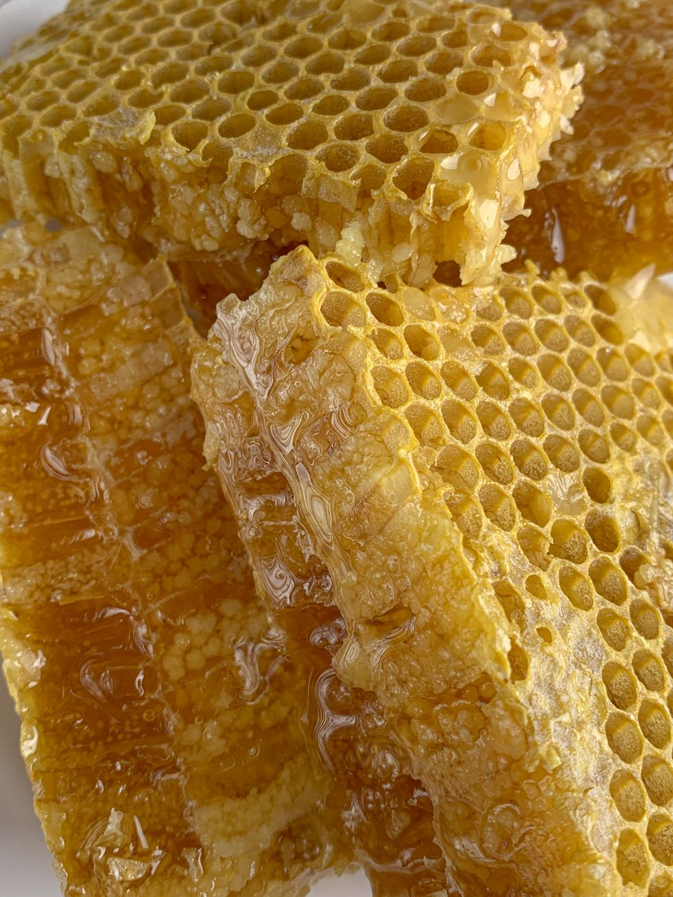 Eating 100% Pure Raw and Unfiltered Honey and Comb for the First Time with my Friend.