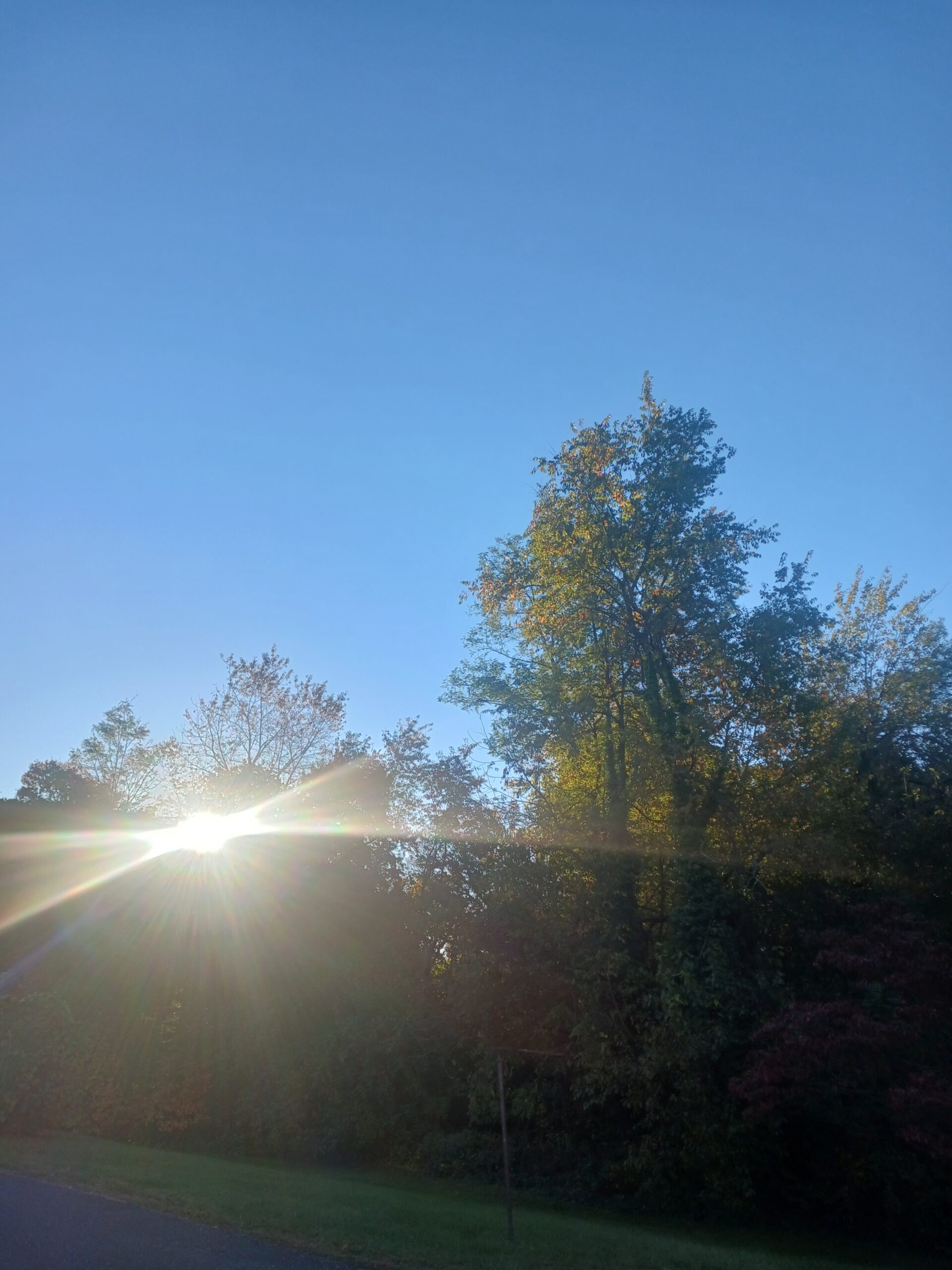 Beautiful Clear Blue Skies and Sunny Today