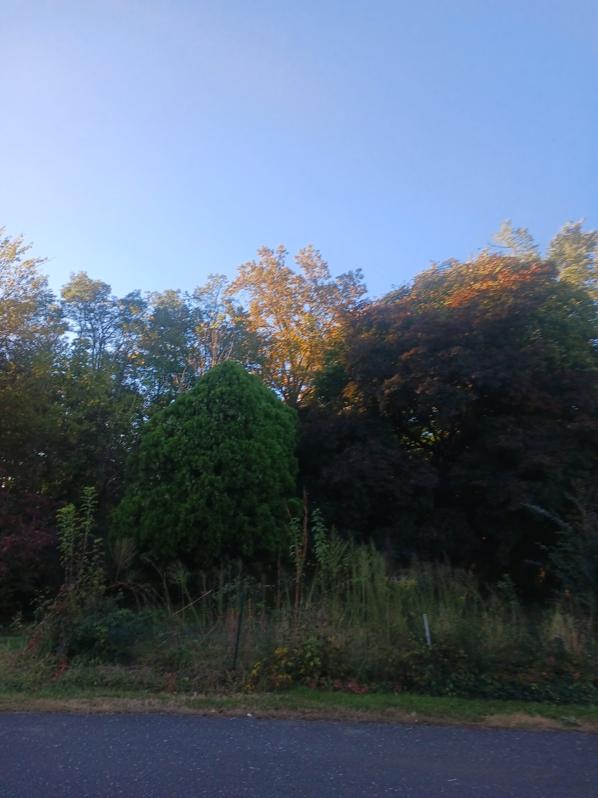 Clear Blue Skies and Sunny Plus Bird Watching